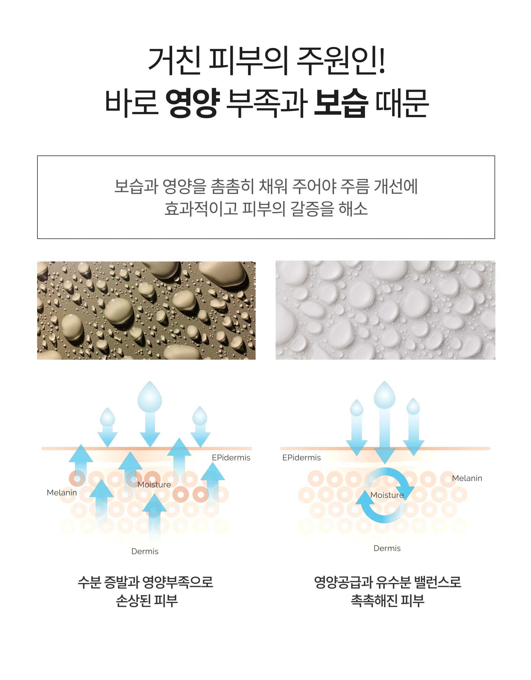 휴먼케어 상세 2